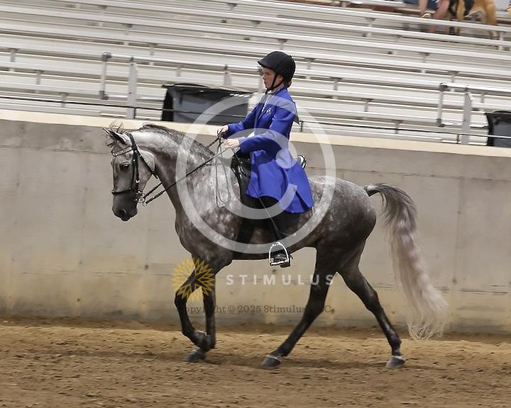 85. Youth Pleasure Stake:Class-850004s0002IMG3425.jpg