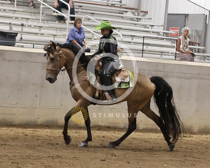 85. Youth Pleasure Stake:Class-850004s0003IMG3431.jpg