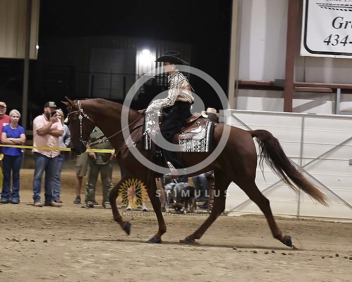 85. Youth Pleasure Stake:Class-850004s0004IMG3443.jpg