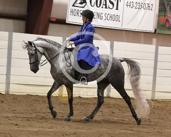 85. Youth Pleasure Stake:Class-850004s0009IMG3460.jpg