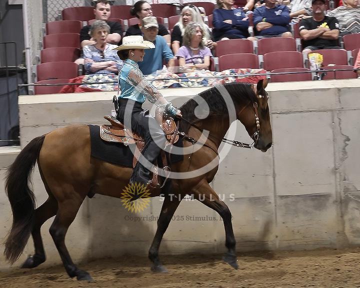 85. Youth Pleasure Stake:Class-850004s0012IMG3470.jpg