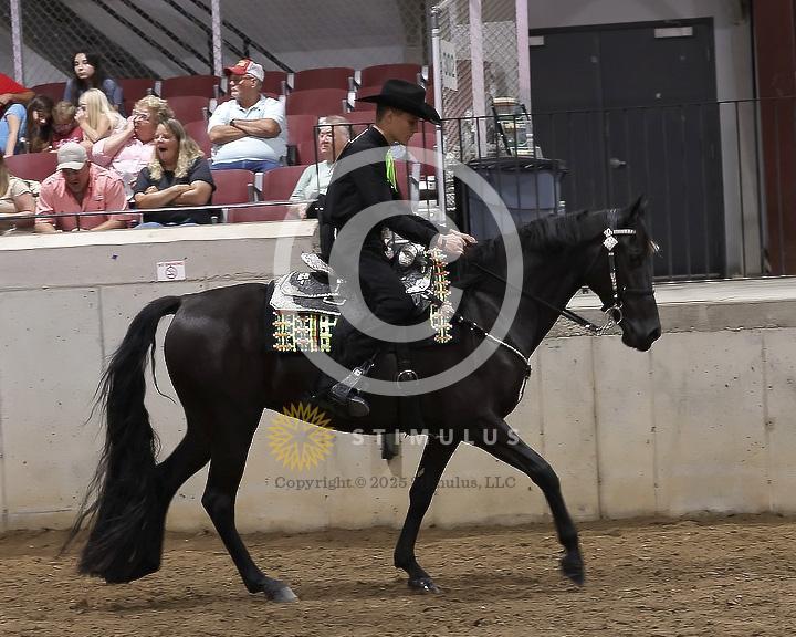 85. Youth Pleasure Stake:Class-850004s0014IMG3482.jpg