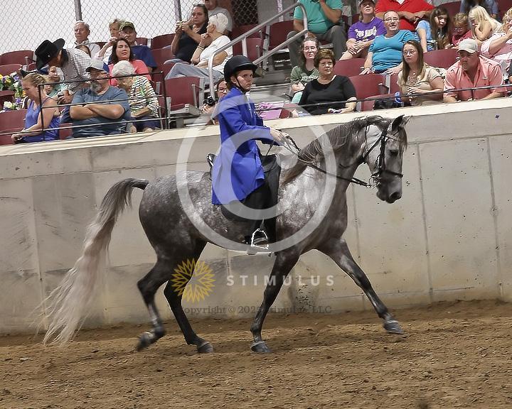 85. Youth Pleasure Stake:Class-850004s0016IMG3493.jpg