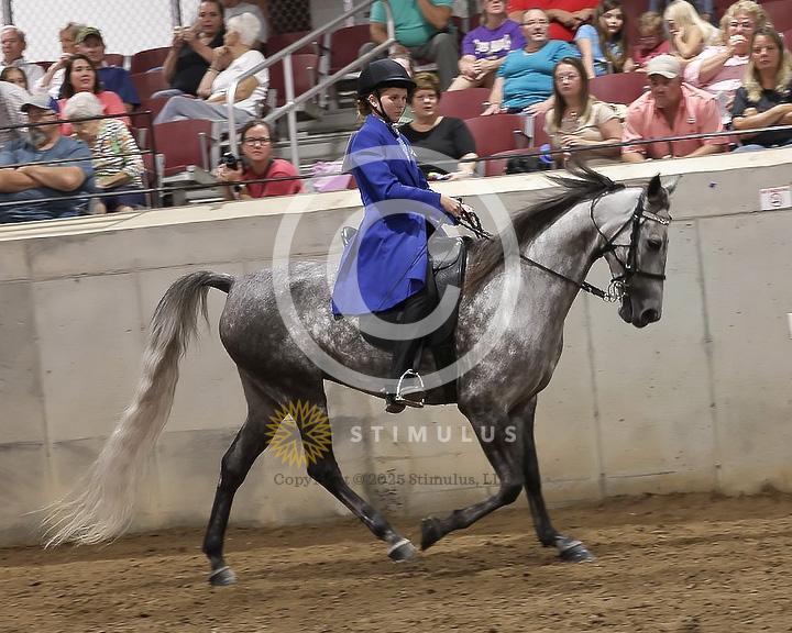 85. Youth Pleasure Stake:Class-850004s0017IMG3494.jpg