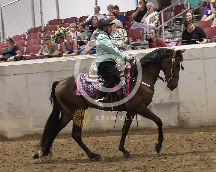 85. Youth Pleasure Stake:Class-850004s0019IMG3505.jpg