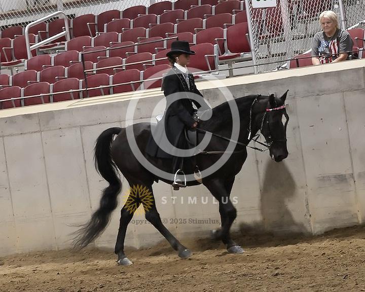 85. Youth Pleasure Stake:Class-850004s0021IMG3513.jpg