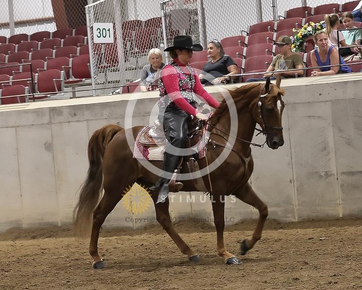 85. Youth Pleasure Stake:Class-850004s0022IMG3517.jpg