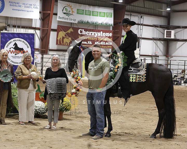 85. Youth Pleasure Stake:Class-850004s0023IMG3523.jpg