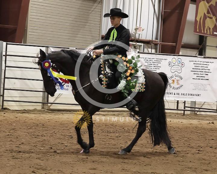 85. Youth Pleasure Stake:Class-850004s0024IMG3526.jpg