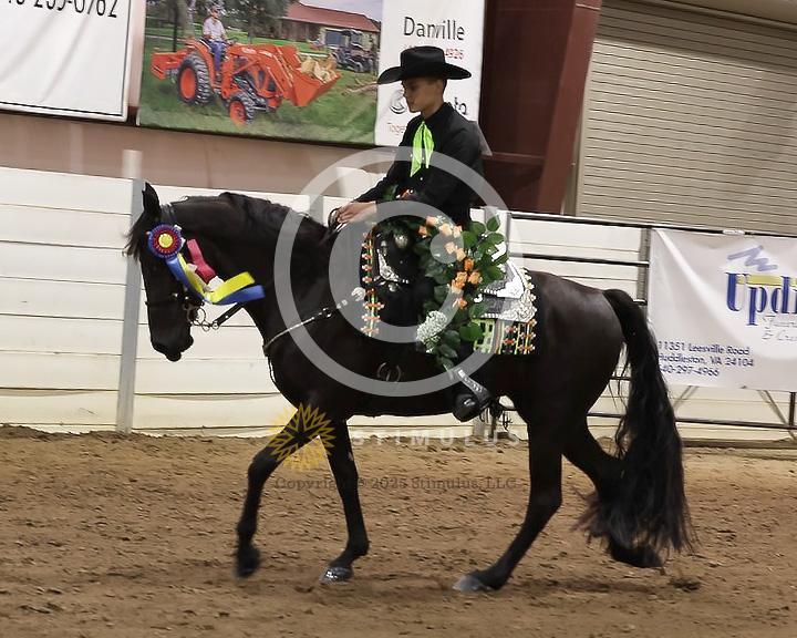 85. Youth Pleasure Stake:Class-850004s0025IMG3531.jpg