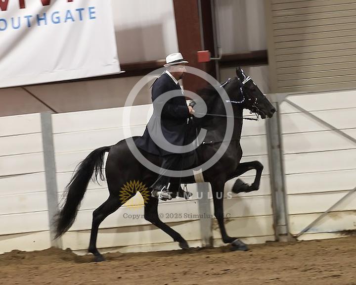 84. Racking Horse Stake:Class-840005s0001IMG3382.jpg