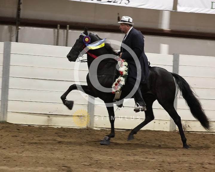 84. Racking Horse Stake