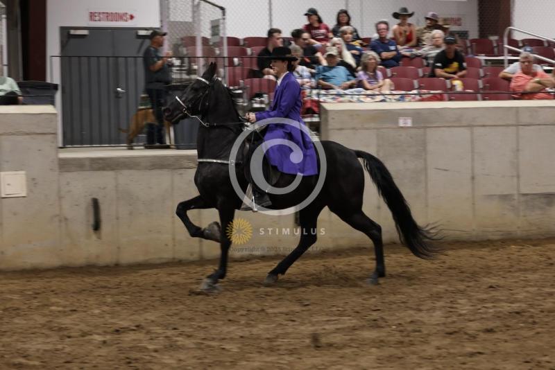 84. Racking Horse Stake:IMG3344.jpeg