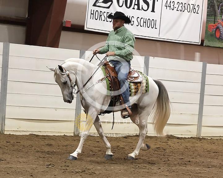 83. SSH Open Shod Stake:Class-830000s0000IMG3259.jpg