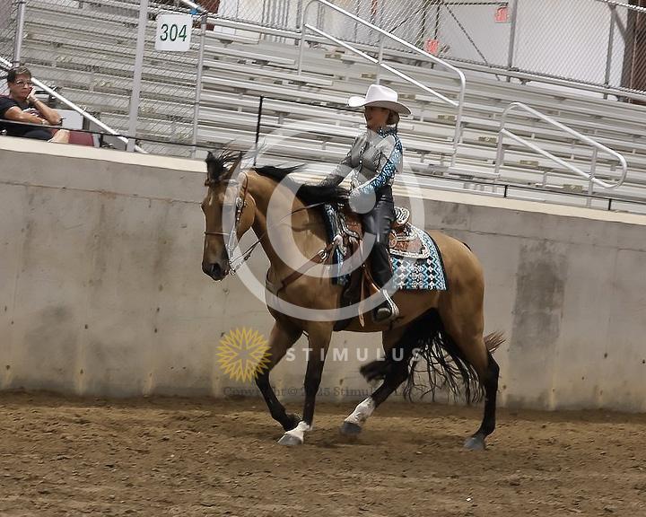 82. Pleasure Walking Horse Stake (3/8 x 3/4 shoe no tungsten):Class-820000s0000IMG3203.jpg