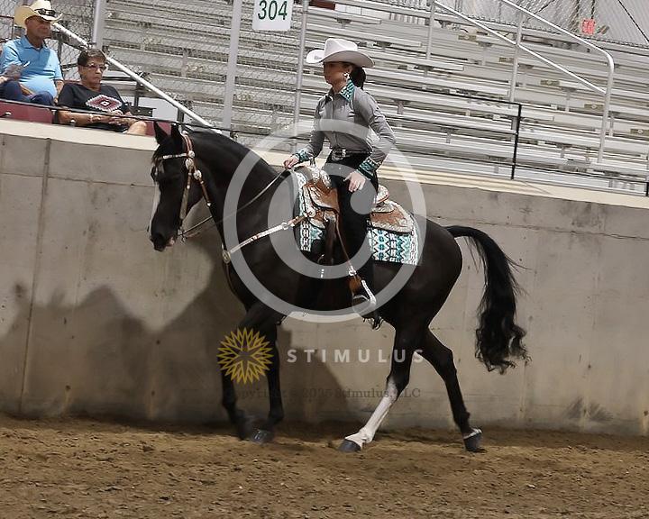 82. Pleasure Walking Horse Stake (3/8 x 3/4 shoe no tungsten):Class-820000s0003IMG3218.jpg