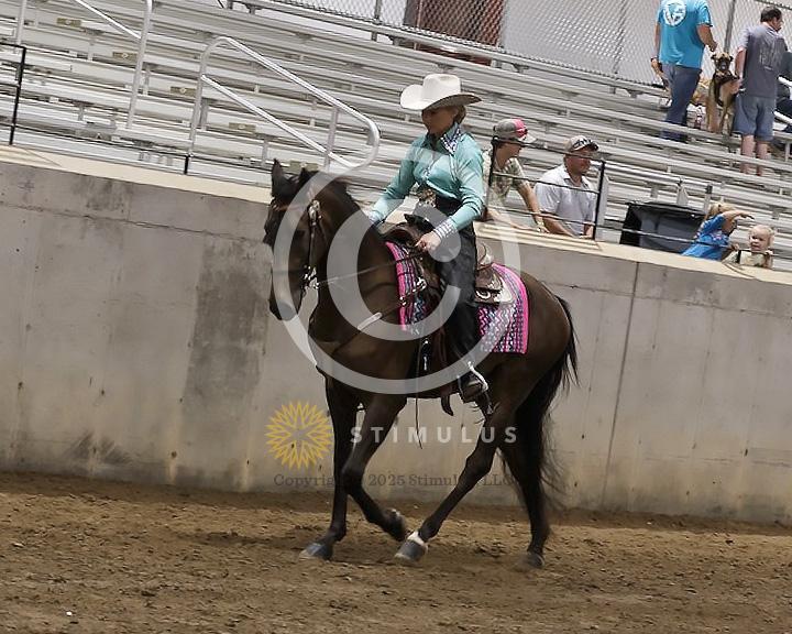 82. Pleasure Walking Horse Stake (3/8 x 3/4 shoe no tungsten):Class-820000s0004IMG3226.jpg