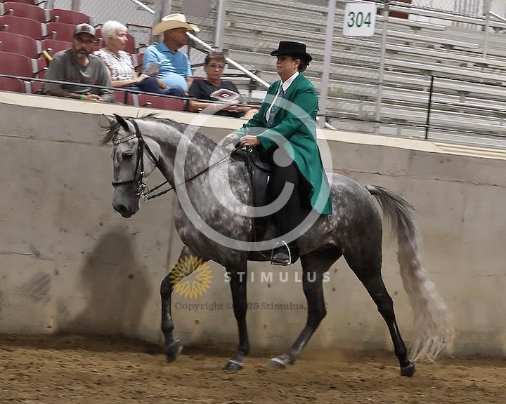 82. Pleasure Walking Horse Stake (3/8 x 3/4 shoe no tungsten):Class-820000s0005IMG3231.jpg