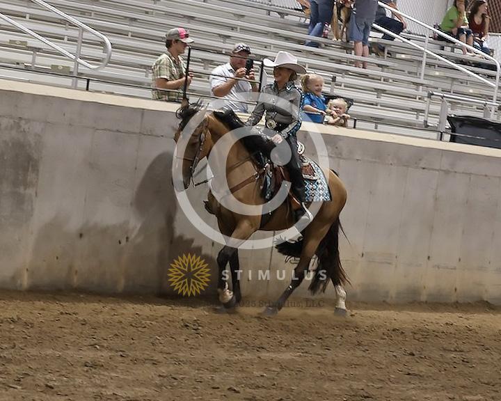 82. Pleasure Walking Horse Stake (3/8 x 3/4 shoe no tungsten):Class-820000s0006IMG3236.jpg