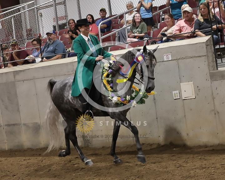 82. Pleasure Walking Horse Stake (3/8 x 3/4 shoe no tungsten):Class-820000s0008IMG3253.jpg