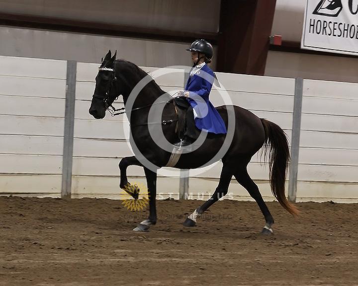 80. Park Pleasure Walking:Class-800008s0004IMG3108.jpg