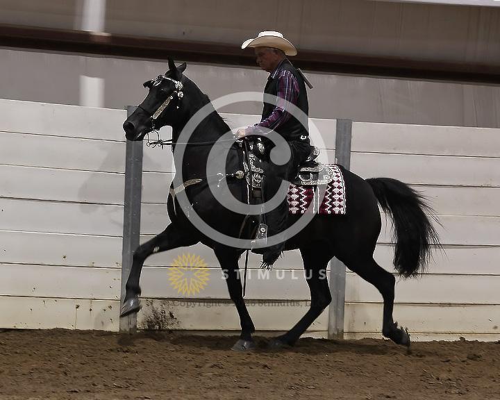 80. Park Pleasure Walking:Class-800008s0005IMG3103.jpg