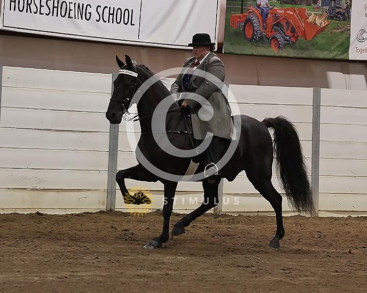 80. Park Pleasure Walking:Class-800008s0006IMG3093.jpg