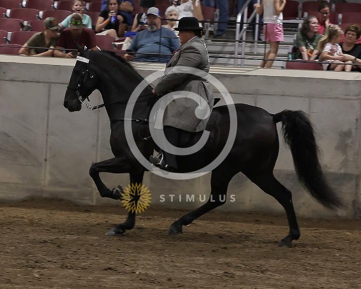 80. Park Pleasure Walking