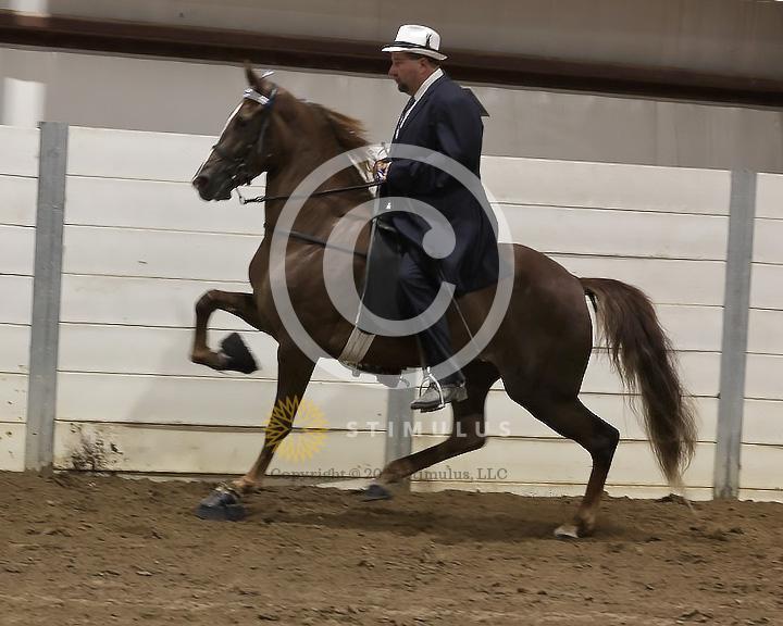 81. Open Racking Specialty Action Device:Class-810008s0001IMG3154.jpg