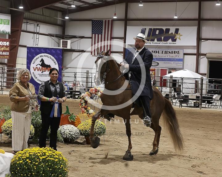 81. Open Racking Specialty Action Device:Class-810008s0005IMG3176.jpg