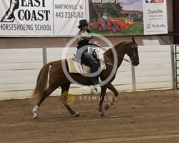 79. Trail Pleasure Racking E/W Open:Class-790000s0000IMG3049.jpg