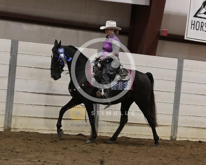 79. Trail Pleasure Racking E/W Open