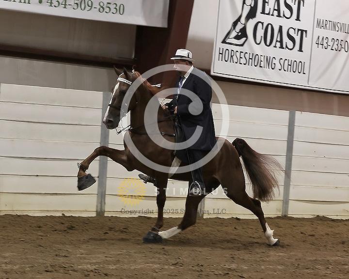 78. 4 Year Old Walking Open:Class-780011s0000IMG2983.jpg