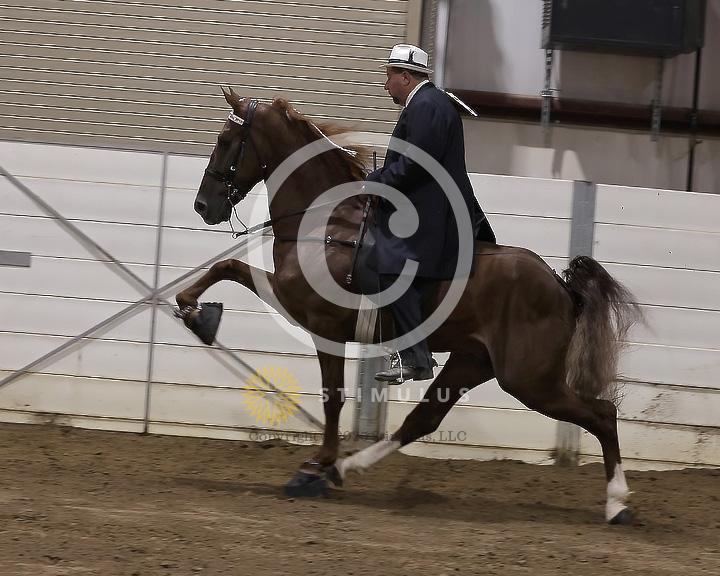 78. 4 Year Old Walking Open:Class-780011s0001IMG2989.jpg