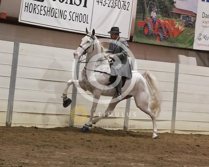 78. 4 Year Old Walking Open:Class-780011s0002IMG2992.jpg