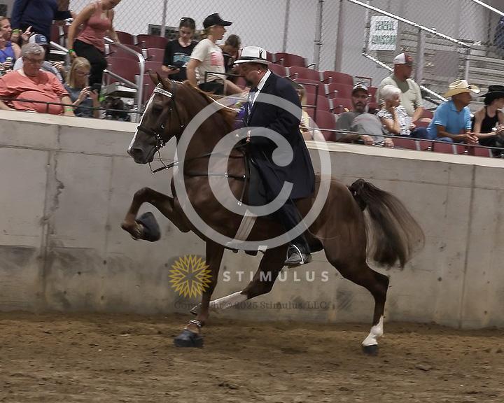 78. 4 Year Old Walking Open:Class-780011s0005IMG3011.jpg