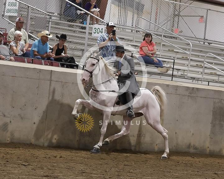 78. 4 Year Old Walking Open:Class-780011s0006IMG3020.jpg