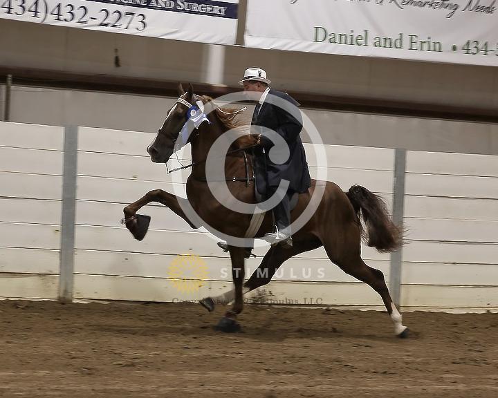 78. 4 Year Old Walking Open:Class-780011s0008IMG3038.jpg