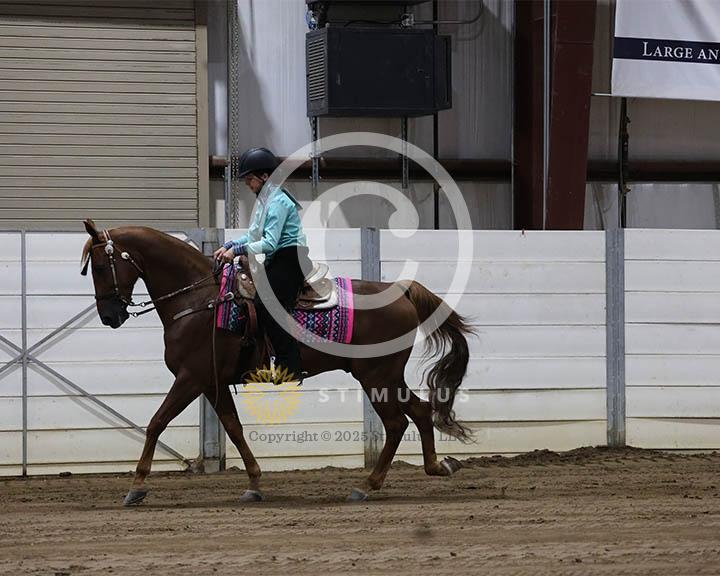 1. Youth Pleasure 17 :Class-10030IMG9835.jpg