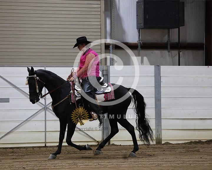 1. Youth Pleasure 17 :Class-10039IMG9819.jpg