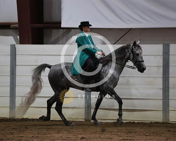 2. 5 and Under Trail Pleasure Walking