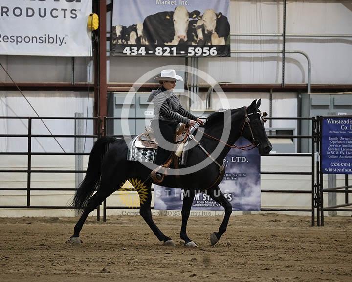 2. 5 and Under Trail Pleasure Walking:Class-20003IMG9957.jpg