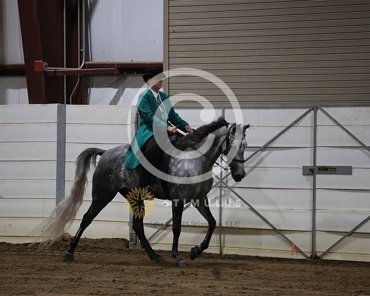 2. 5 and Under Trail Pleasure Walking:Class-20004IMG9955.jpg