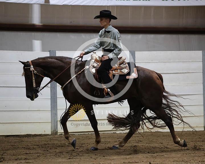 2. 5 and Under Trail Pleasure Walking:Class-20005IMG9945.jpg