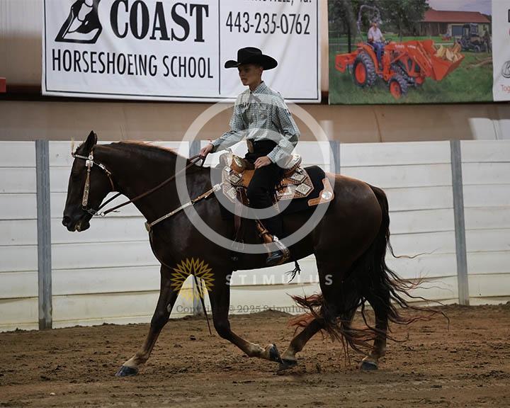 2. 5 and Under Trail Pleasure Walking:Class-20006IMG9943.jpg