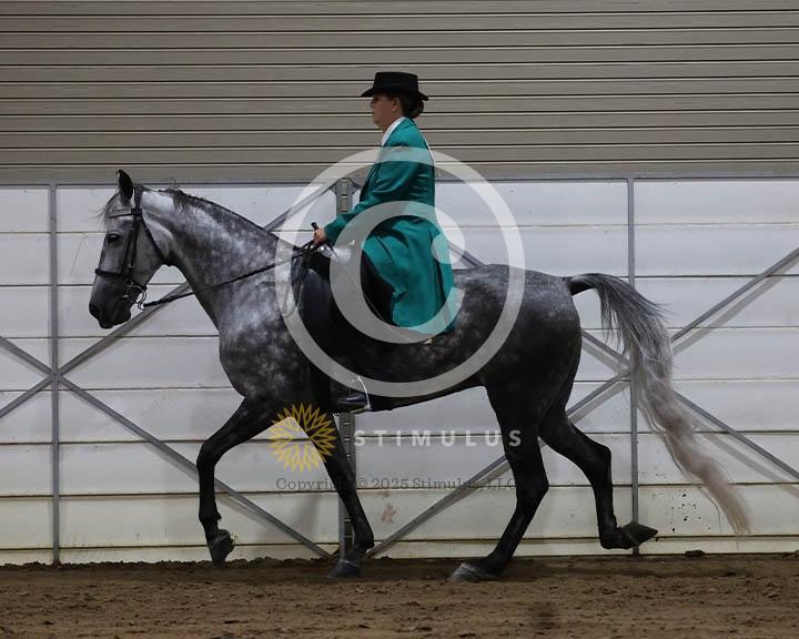 2. 5 and Under Trail Pleasure Walking:Class-20008IMG9938.jpg