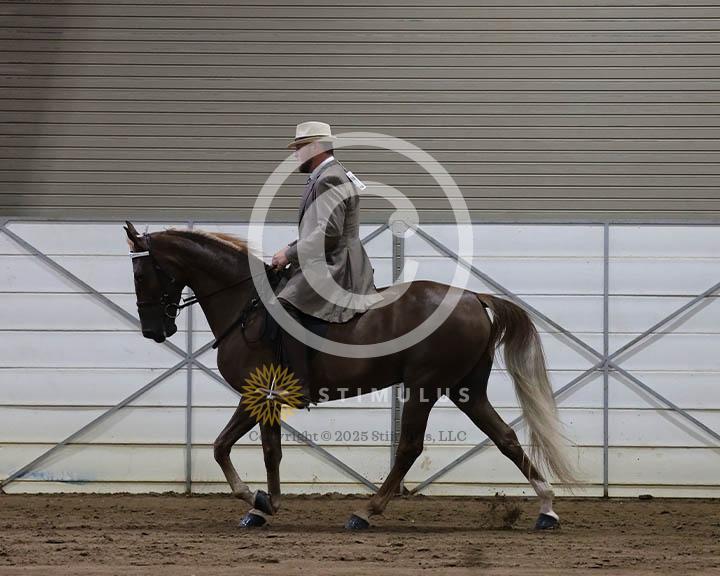 2. 5 and Under Trail Pleasure Walking:Class-20009IMG9924.jpg