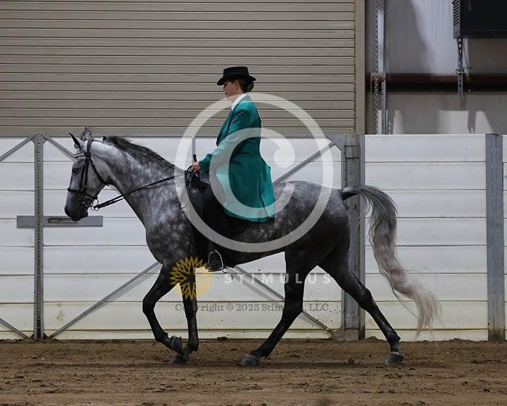 2. 5 and Under Trail Pleasure Walking:Class-20010IMG9919.jpg