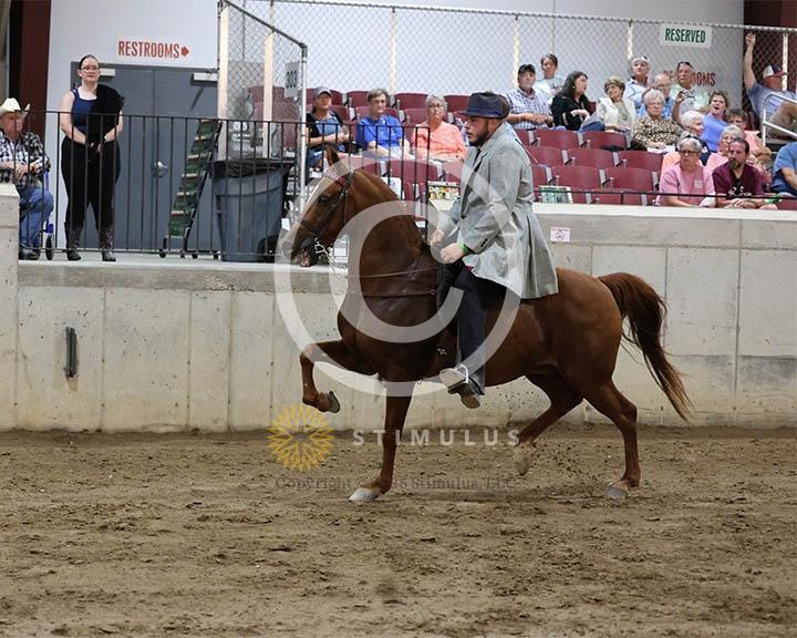 4. Park Pleasure Racking:Class-40000s0001IMG0093.jpg