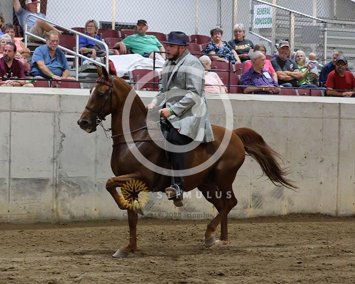 4. Park Pleasure Racking:Class-40000s0002IMG0091.jpg